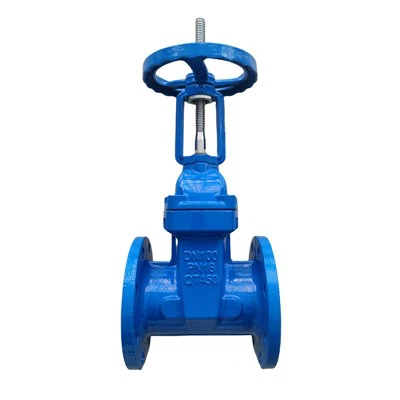 Injap Pintu Baji Getah