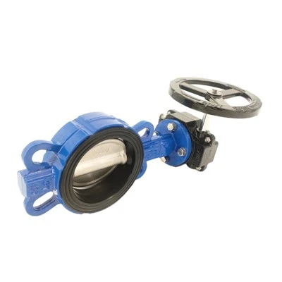 Bolehkah Butterfly Valve Digunakan Untuk Kawalan Aliran?